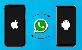 Export WhatsApp Chats Through Email