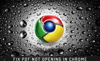 PDF Not Opening in Chrome